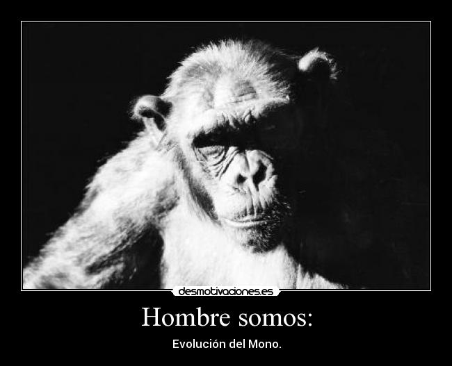 Hombre somos: -
