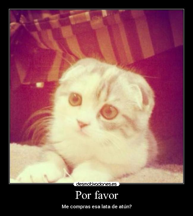 Por favor -