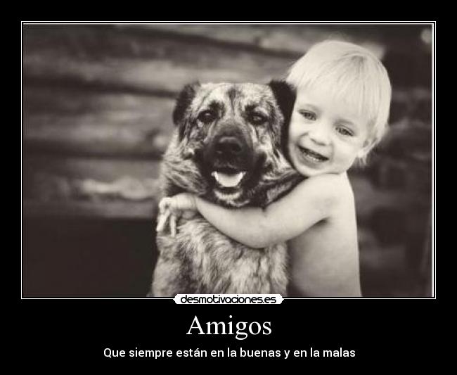Amigos - 