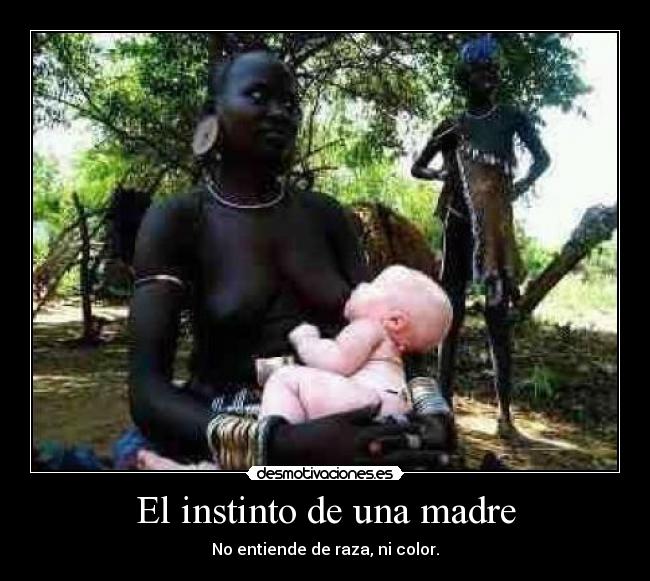 El instinto de una madre - No entiende de raza, ni color.