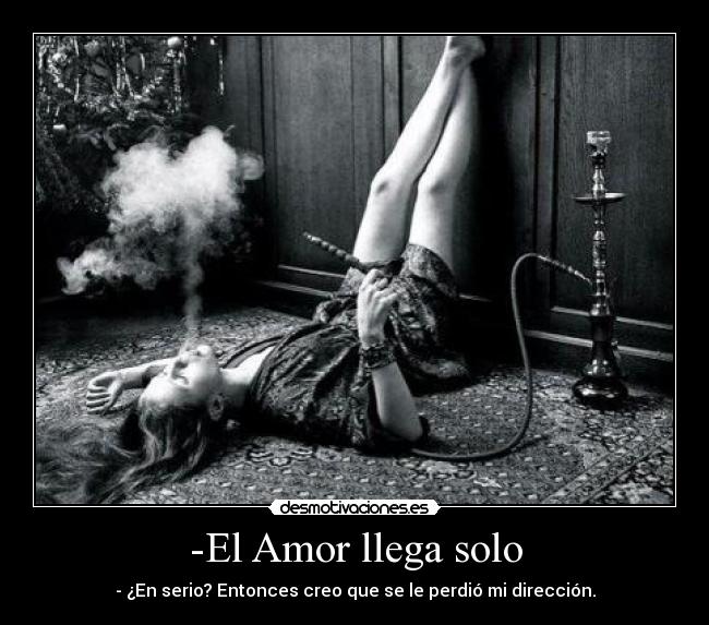 -El Amor llega solo - - ¿En serio? Entonces creo que se le perdió mi dirección.