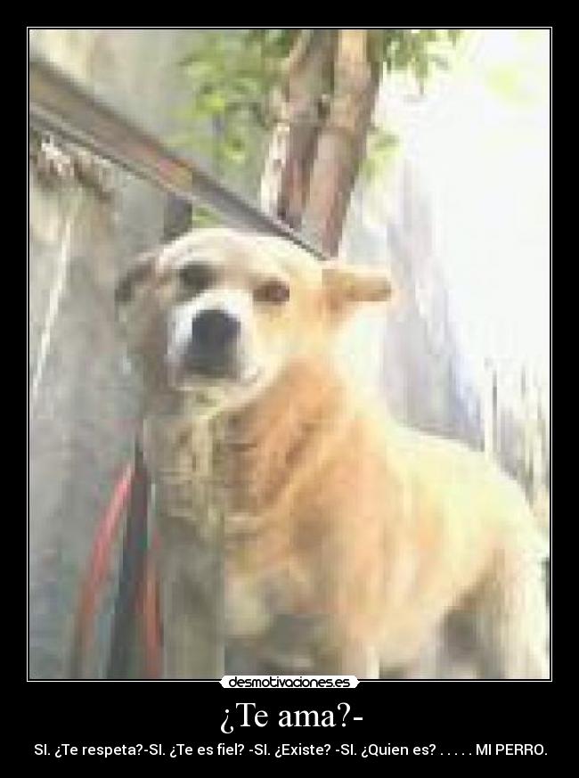 ¿Te ama?- - SI. ¿Te respeta?-SI. ¿Te es fiel? -SI. ¿Existe? -SI. ¿Quien es? . . . . . MI PERRO.