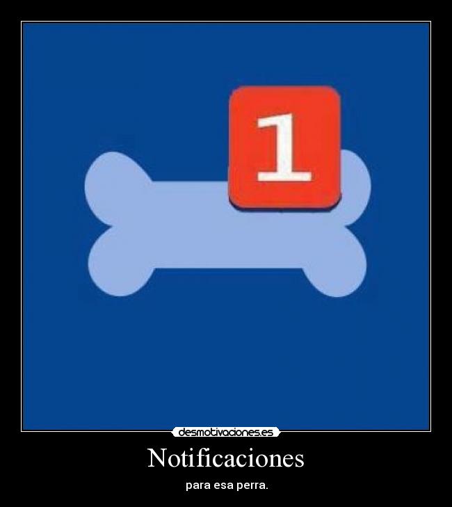 Notificaciones - para esa perra.