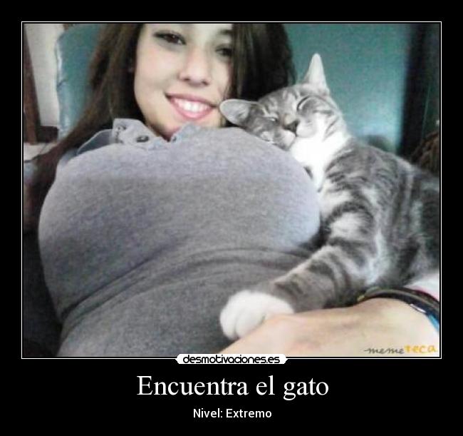 Encuentra el gato - 