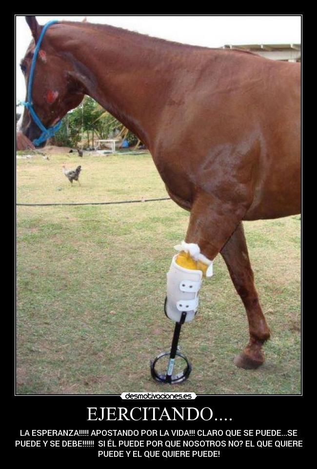 EJERCITANDO.... - LA ESPERANZA!!!!! APOSTANDO POR LA VIDA!!! CLARO QUE SE PUEDE...SE
PUEDE Y SE DEBE!!!!!! SI ÉL PUEDE POR QUE NOSOTROS NO? EL QUE QUIERE
PUEDE Y EL QUE QUIERE PUEDE!