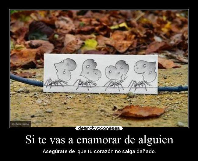 Si te vas a enamorar de alguien - 