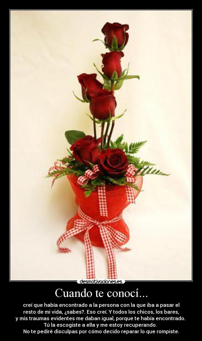 carteles conocer amor desamor desmotivaciones