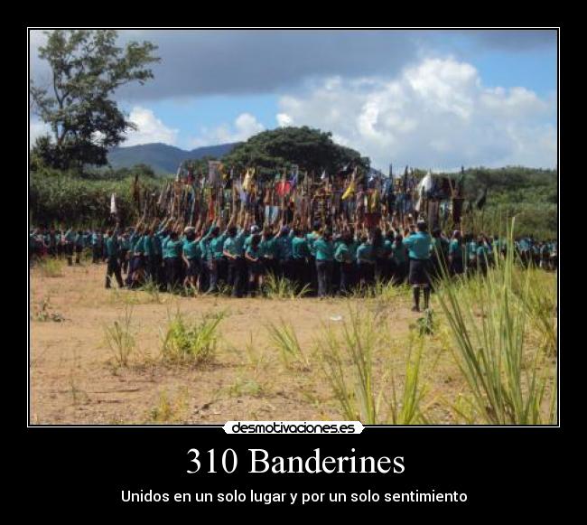 310 Banderines - 