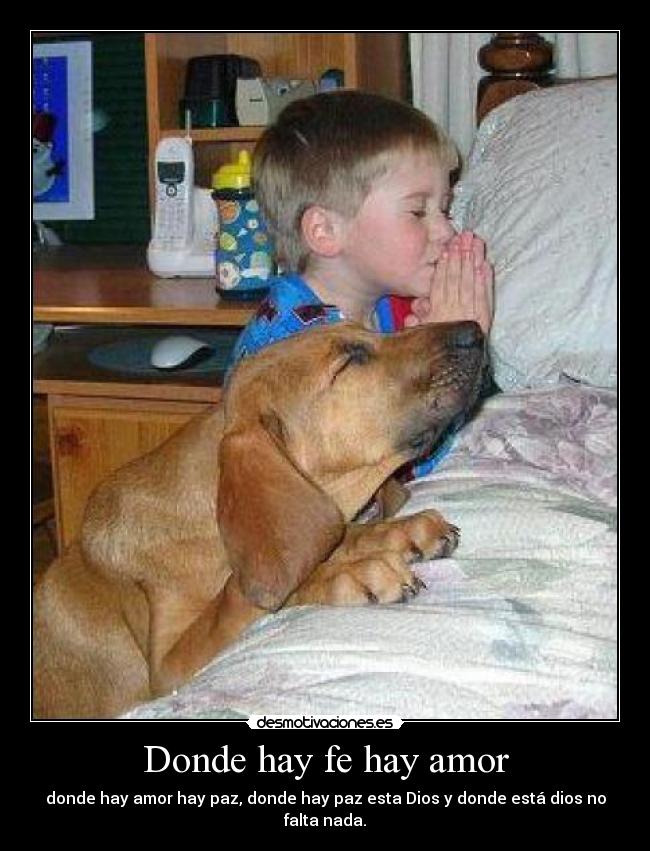 Donde hay fe hay amor - donde hay amor hay paz, donde hay paz esta Dios y donde está dios no falta nada.