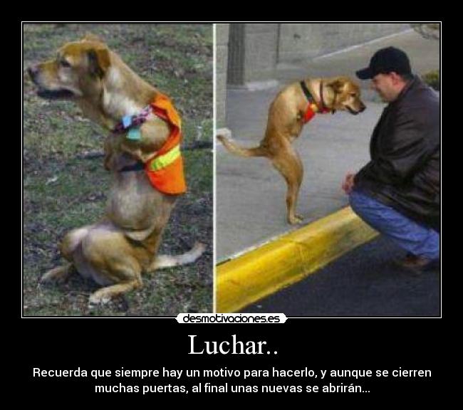 Luchar.. - 
