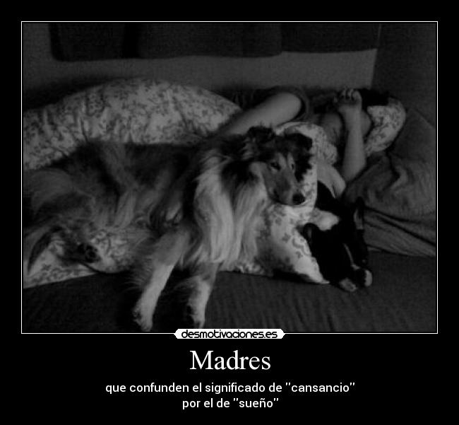 Madres - 