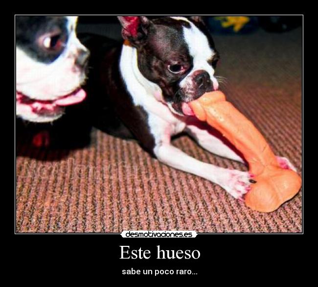 Este hueso - 