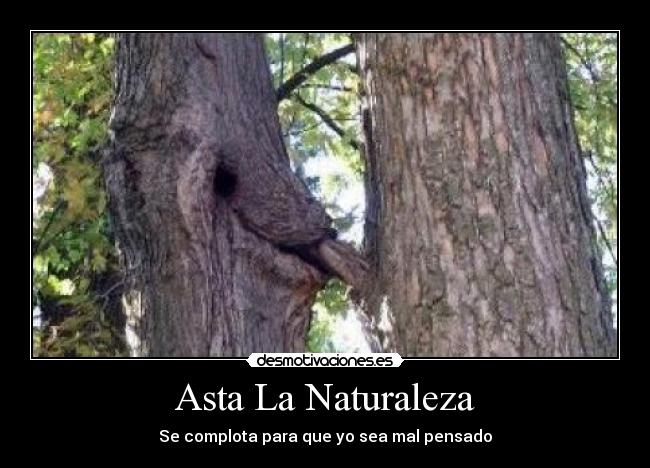 Asta La Naturaleza - Se complota para que yo sea mal pensado