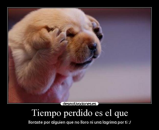 carteles sarita desmotivaciones