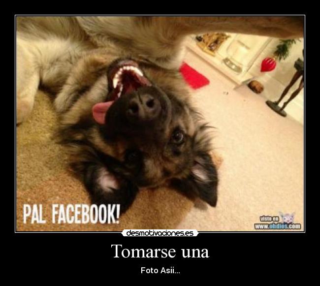 Tomarse una - Foto Asii...