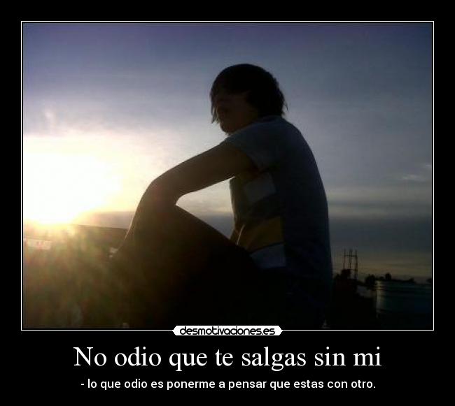 carteles odio armandoseven7 desmotivaciones