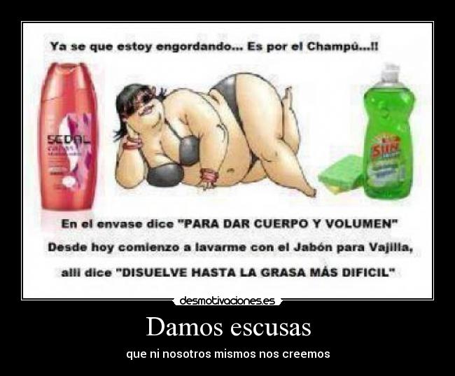 Damos escusas - 
