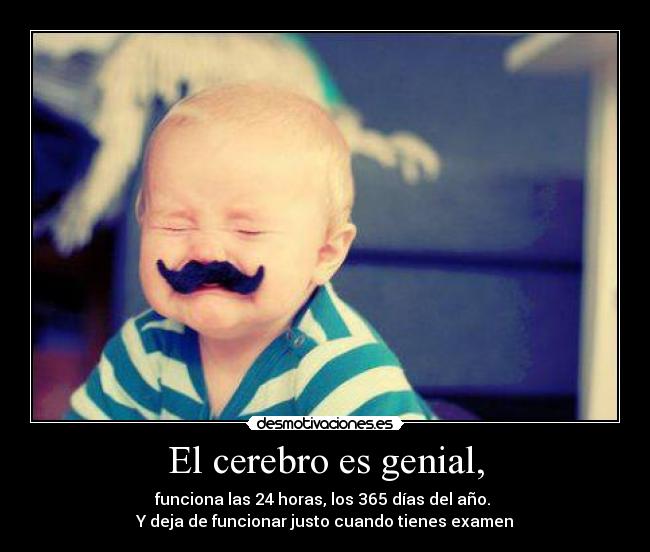 El cerebro es genial, - funciona las 24 horas, los 365 días del año. 
Y deja de funcionar justo cuando tienes examen