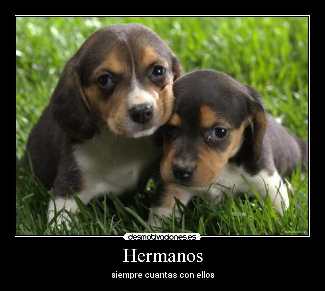 Hermanos - siempre cuantas con ellos