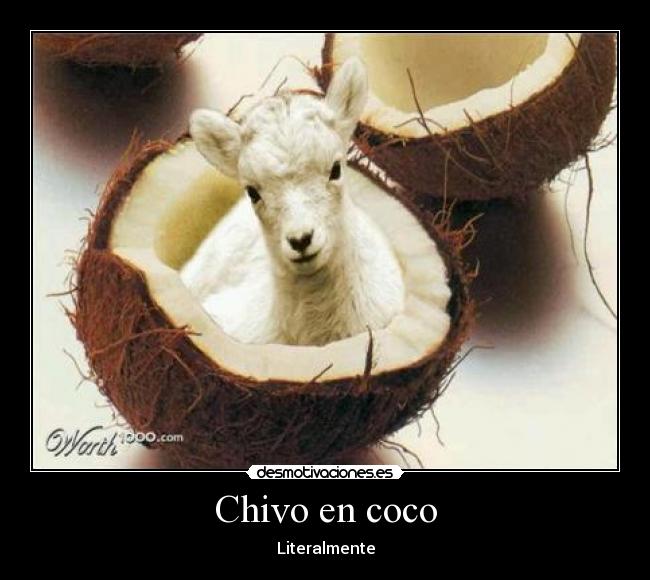Chivo en coco - Literalmente