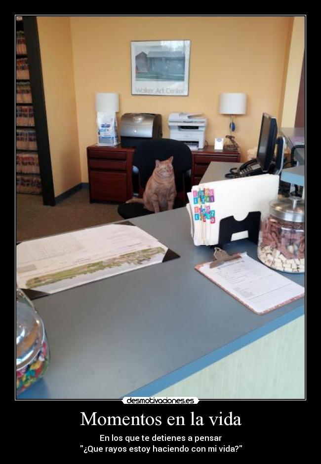 Momentos en la vida - 