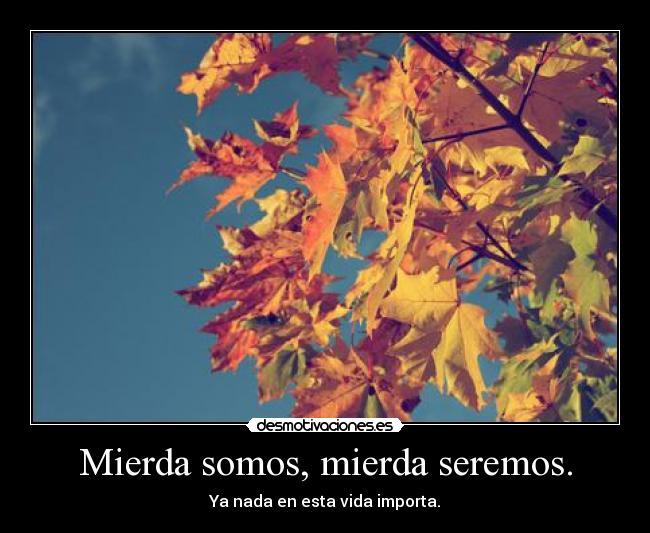 Mierda somos, mierda seremos. - Ya nada en esta vida importa.