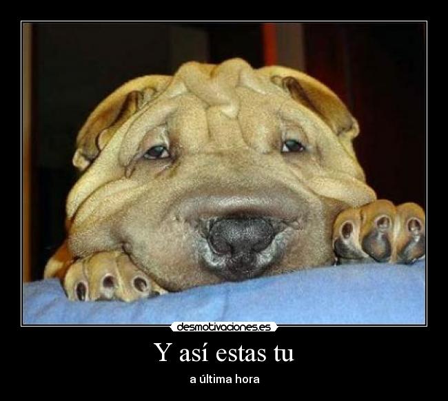 Y así estas tu -