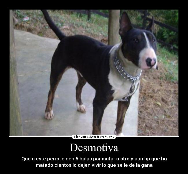 Desmotiva - 