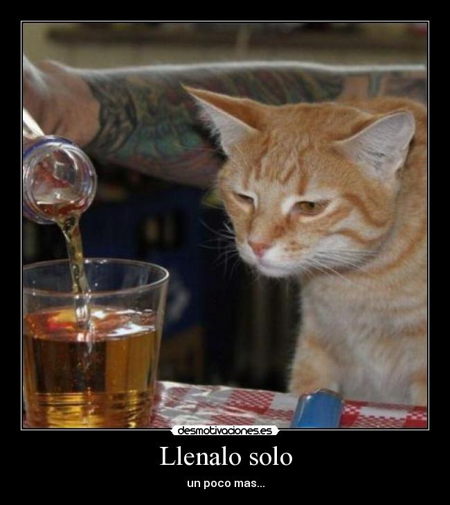 Llenalo solo - un poco mas...