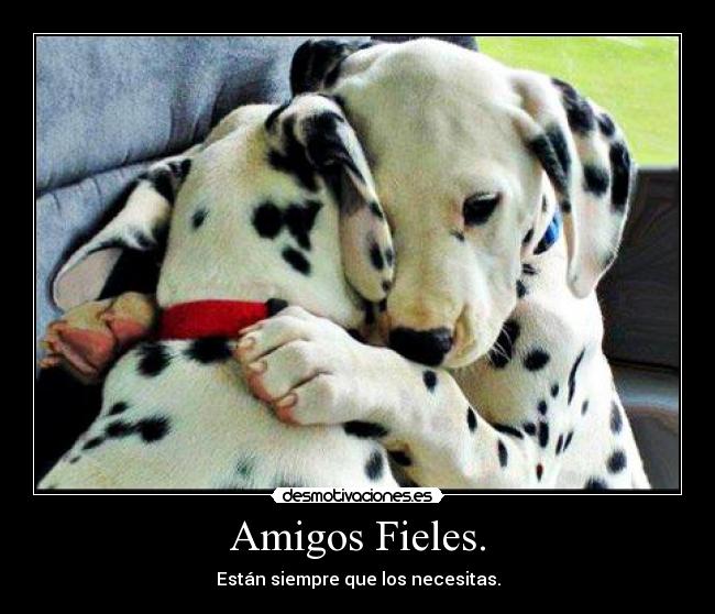 carteles amigos natucha16 desmotivaciones