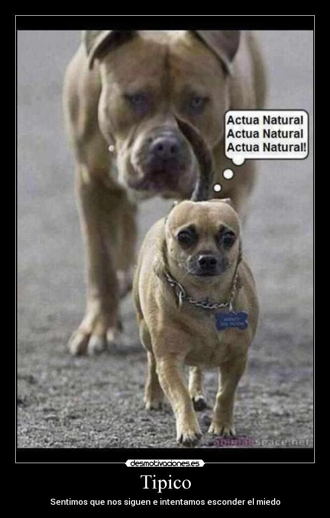 Tipico - Sentimos que nos siguen e intentamos esconder el miedo