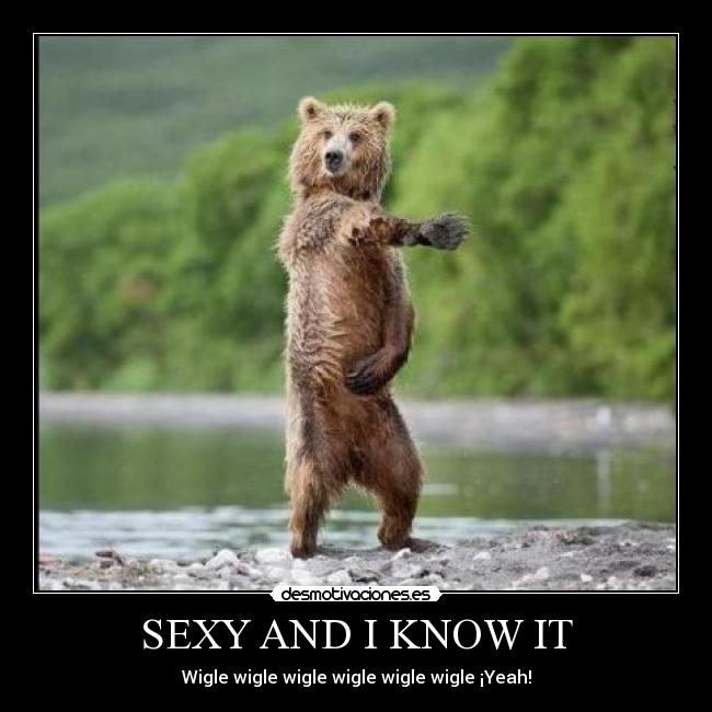 SEXY AND I KNOW IT - 