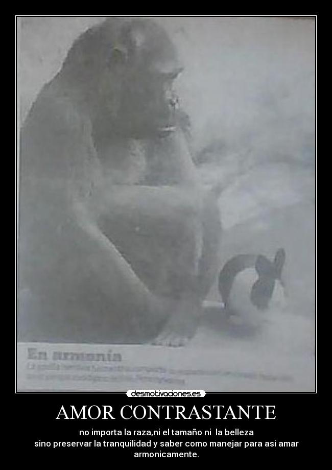 AMOR CONTRASTANTE - no importa la raza,ni el tamaño ni la belleza
sino preservar la tranquilidad y saber como manejar para asi amar armonicamente.