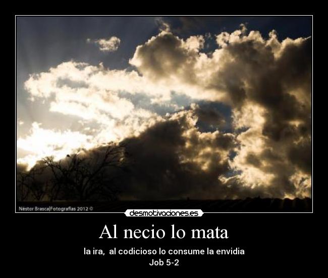 Al necio lo mata - la ira, al codicioso lo consume la envidia
Job 5-2