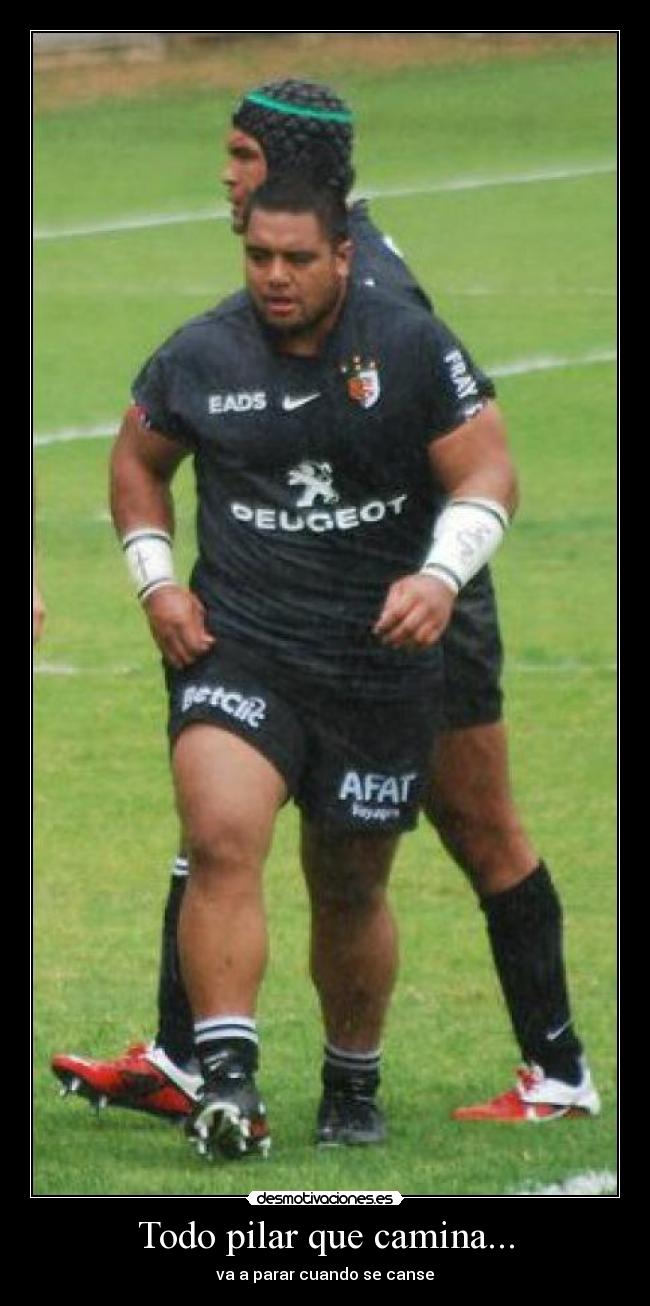 Todo pilar que camina... - va a parar cuando se canse