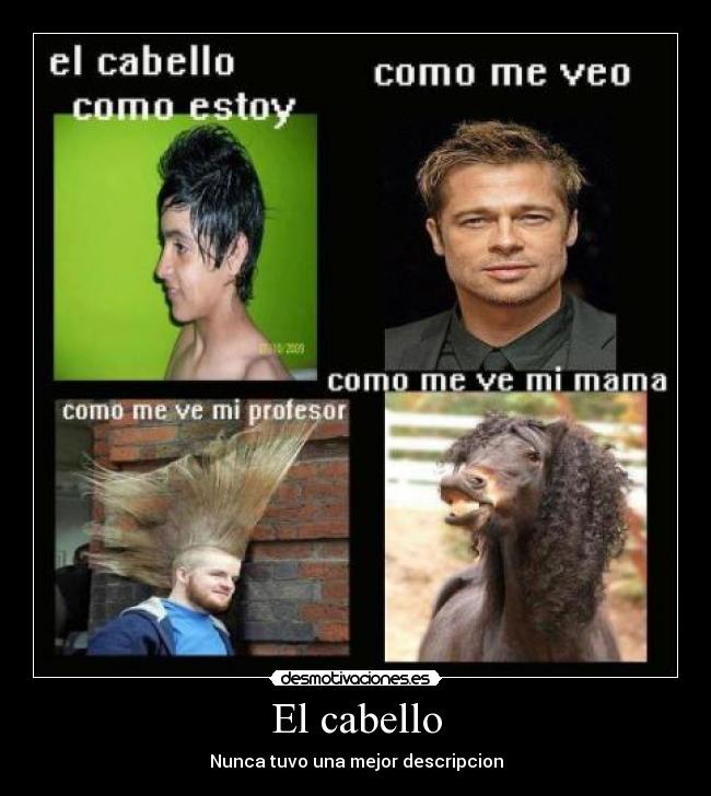 El cabello -