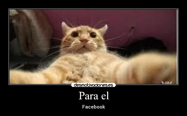 carteles para facebook desmotivaciones