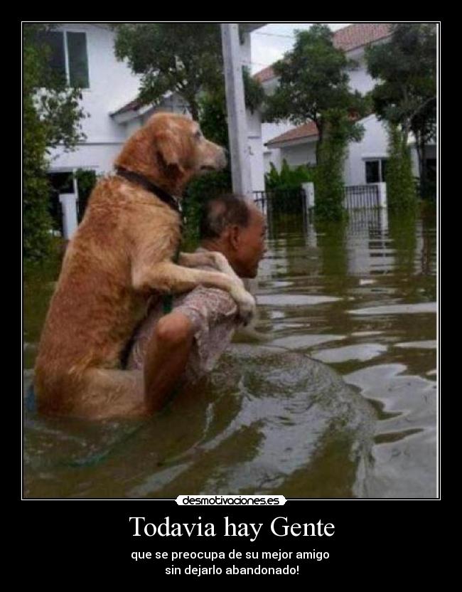 carteles motiva desmotivaciones