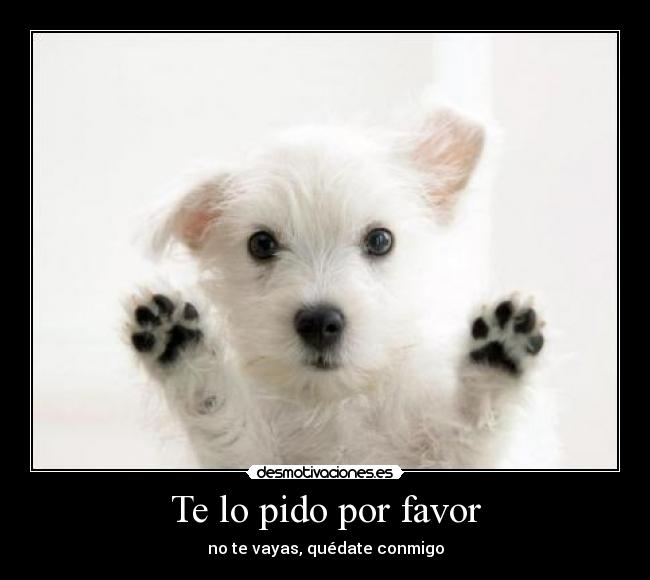 carteles pido por favor desmotivaciones