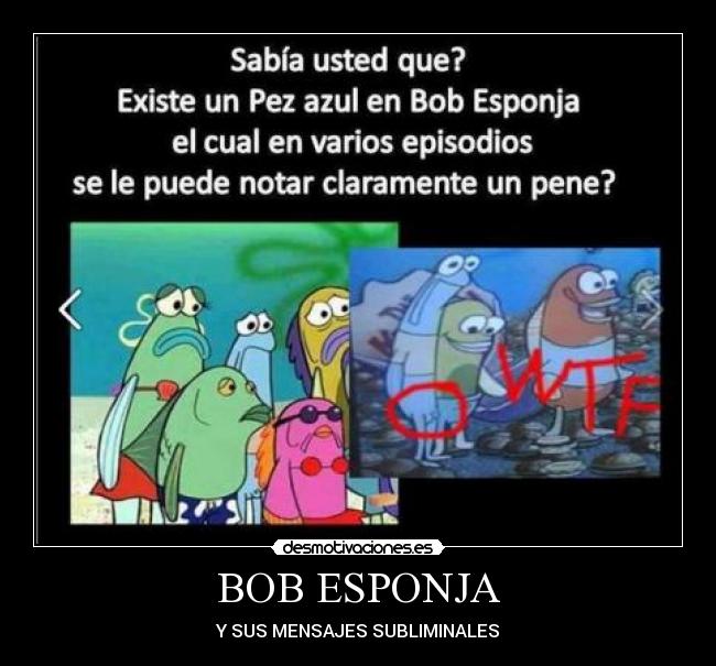 BOB ESPONJA -