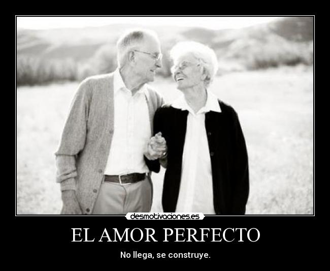 EL AMOR PERFECTO - 
