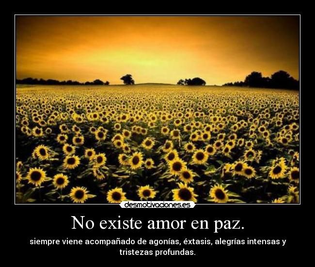 carteles amor amor desmotivaciones