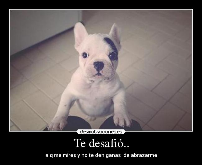 carteles desafio desmotivaciones