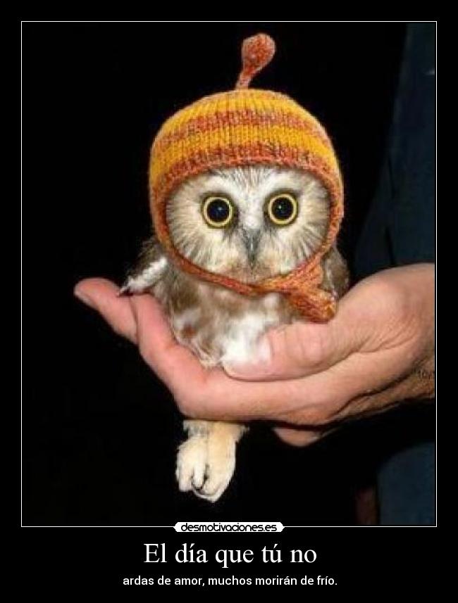 carteles lalallaalalal desmotivaciones