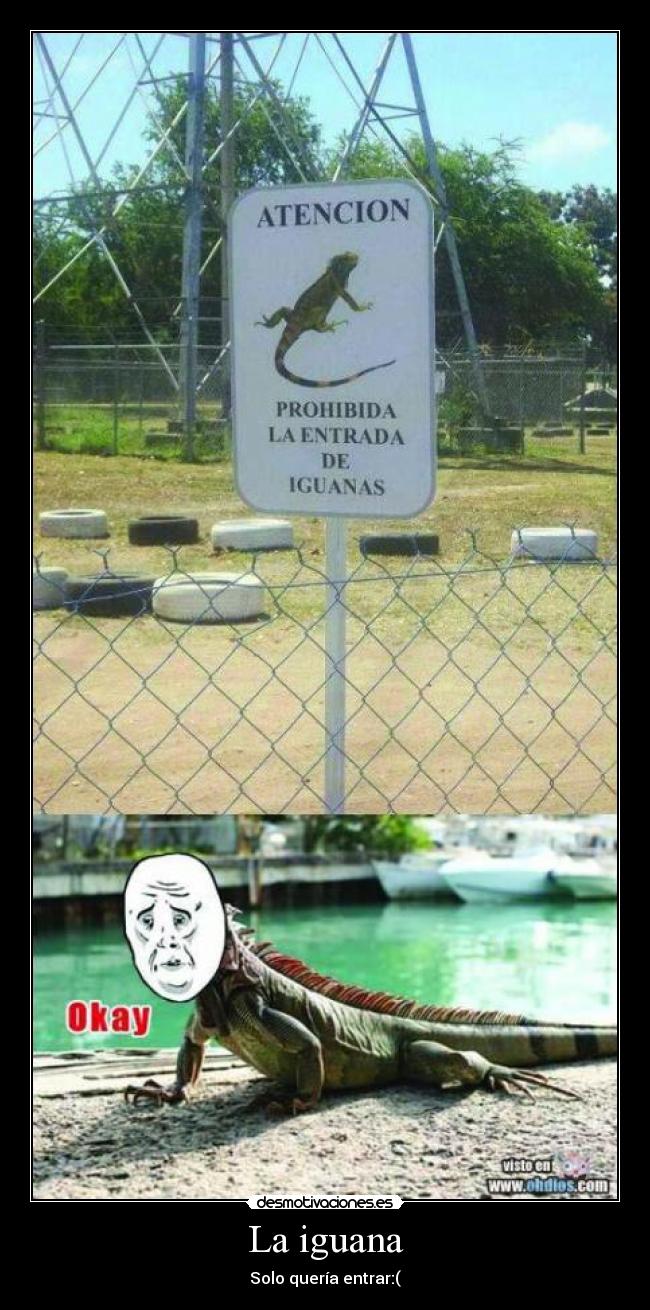 carteles francys zambrano desmotivaciones