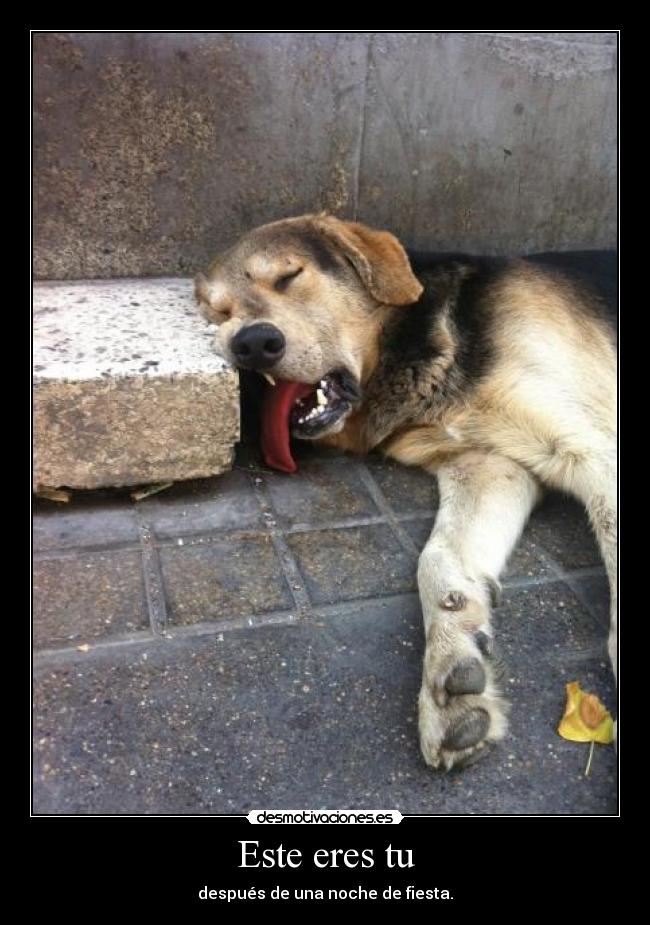 Este eres tu - después de una noche de fiesta.