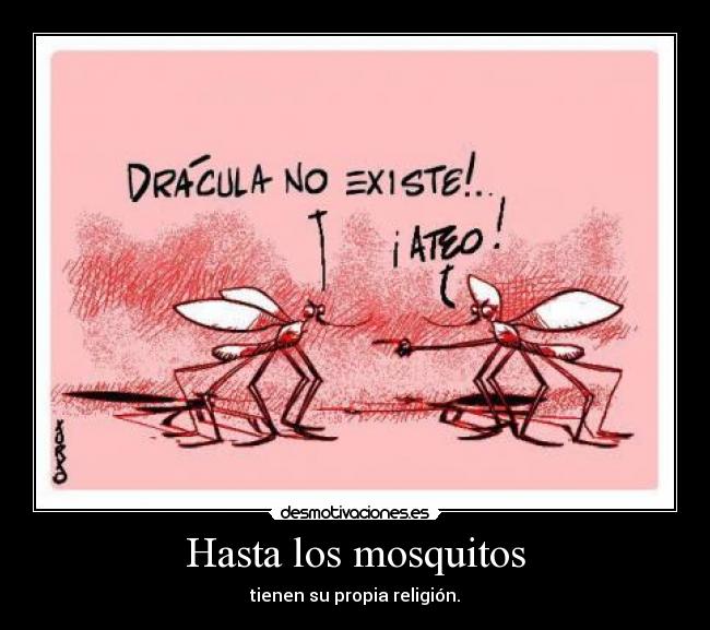 Hasta los mosquitos - tienen su propia religión.