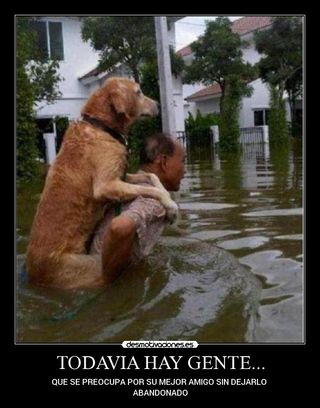 TODAVIA HAY GENTE... - QUE SE PREOCUPA POR SU MEJOR AMIGO SIN DEJARLO
ABANDONADO