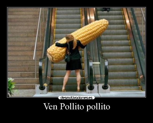 Ven Pollito pollito - 