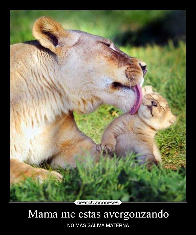 Mama me estas avergonzando - NO MAS SALIVA MATERNA